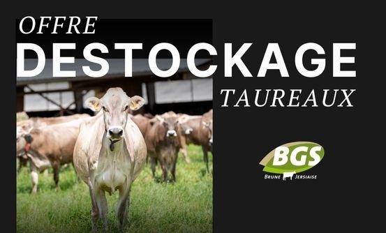 Offre de destockage 2025