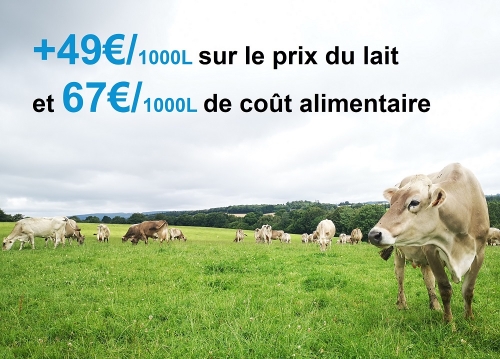 Actualité