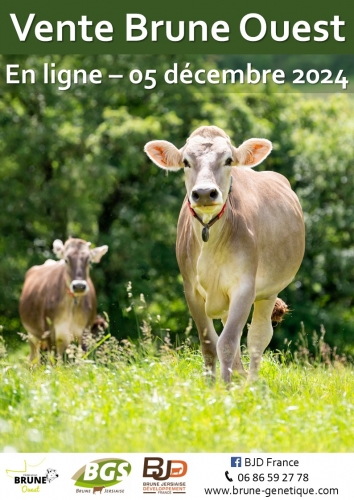 Actualité