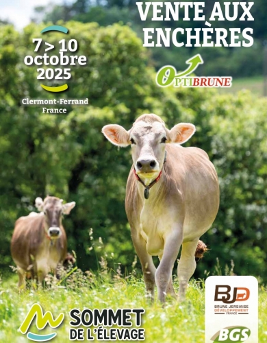 Actualité