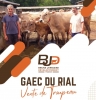 Actualité