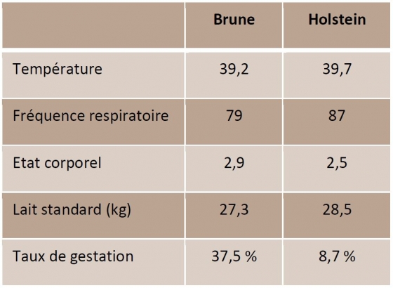 Agrandir l'image