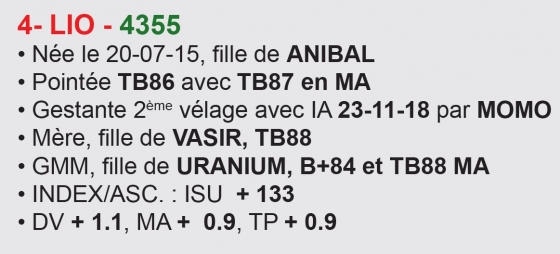 Agrandir l'image